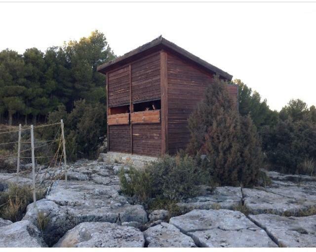 Apartamento Rural La Cascada De Calmarza Exterior foto